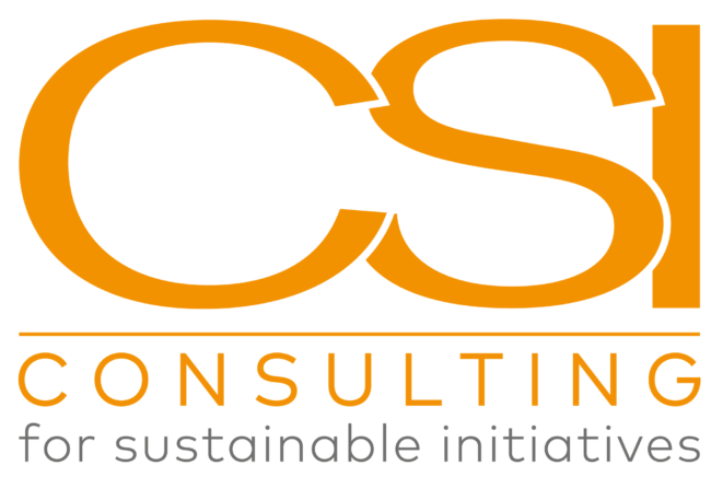 CSI CONSULTING