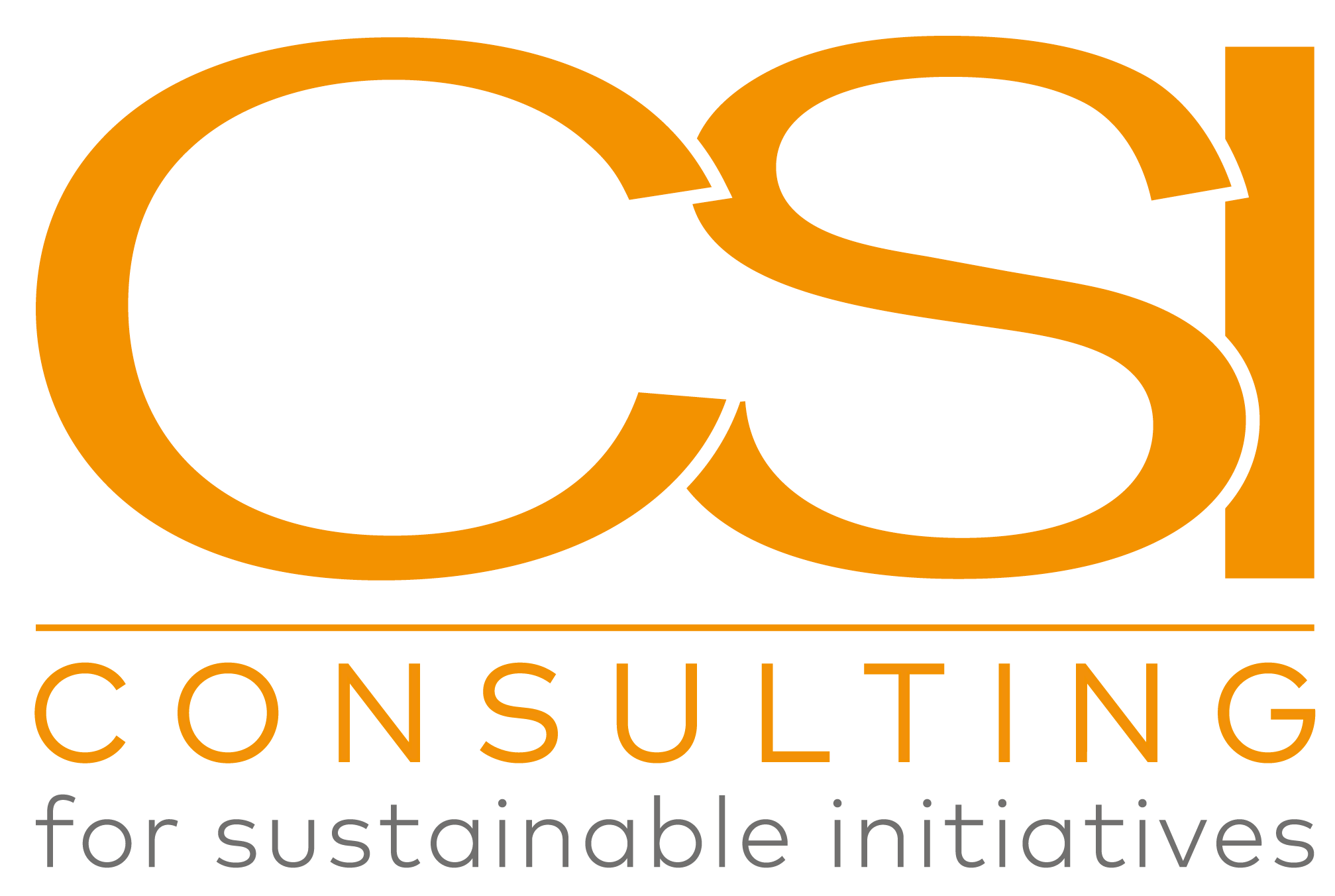 CSI CONSULTING