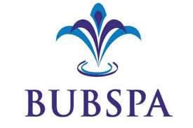 Bubspa
